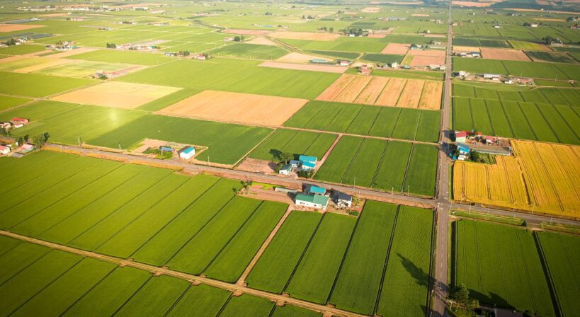 aerial-green-wheat-field-aerial-view-large-green-2026-03-20-04-52-58-utc